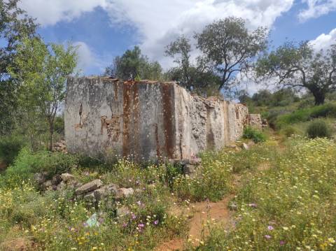 Terreno Misto  Venda em Conceição e Estoi,Faro