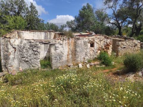 Terreno Misto  Venda em Conceição e Estoi,Faro