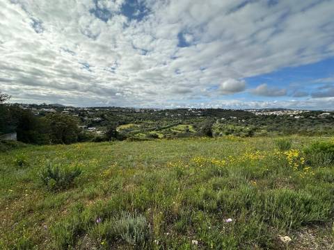 Terreno Rústico  Venda em Loulé (São Clemente),Loulé