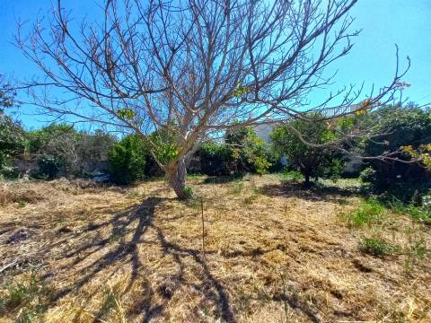 Terreno Para Construção  Venda em Loulé (São Sebastião),Loulé