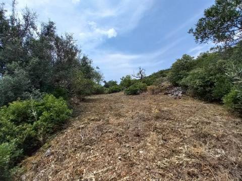 Moradia Devoluta T3 Venda em Santa Bárbara de Nexe,Faro