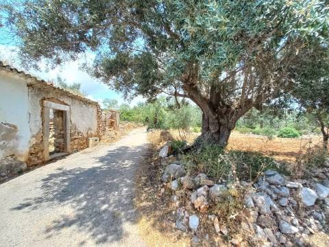 Moradia Devoluta T3 Venda em Santa Bárbara de Nexe,Faro