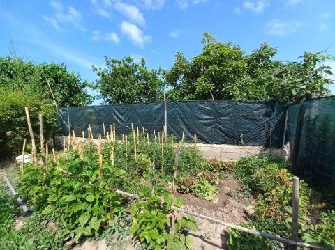 Terreno Para Construção  Venda em Quarteira,Loulé