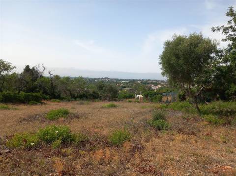 Terreno Rústico  Venda em Almancil,Loulé