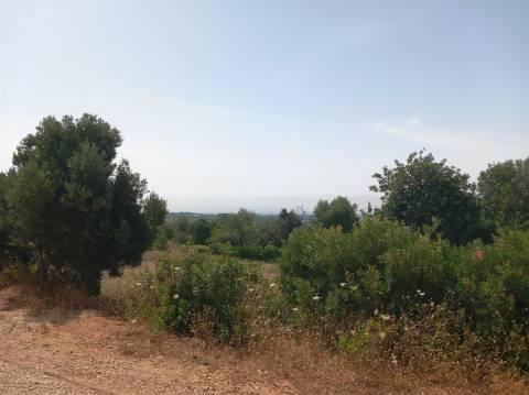 Terreno Rústico  Venda em Almancil,Loulé