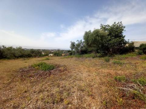 Terreno Rústico  Venda em Almancil,Loulé