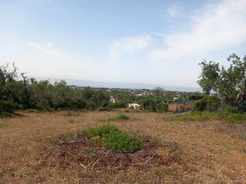 Terreno Rústico  Venda em Almancil,Loulé