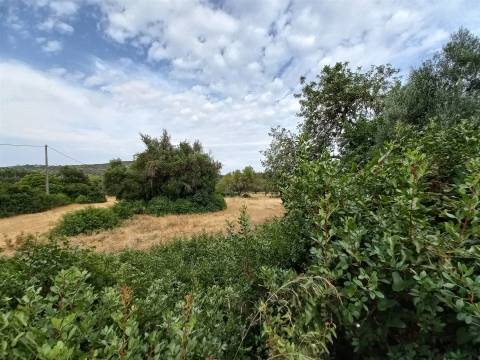 Terreno Rústico  Venda em Loulé (São Clemente),Loulé