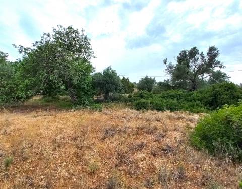 Terreno Rústico  Venda em Loulé (São Clemente),Loulé