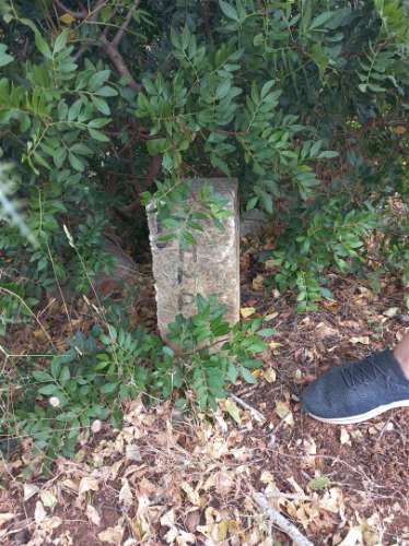 Terreno Rústico  Venda em Loulé (São Clemente),Loulé