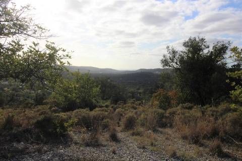 Moradia Rústica  Venda em Santa Bárbara de Nexe,Faro