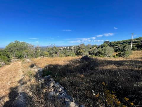 Terreno Rústico  Venda em Loulé (São Sebastião),Loulé