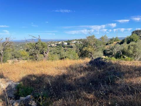 Terreno Rústico  Venda em Loulé (São Sebastião),Loulé