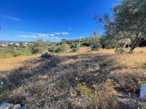 Terreno Rústico  Venda em Loulé (São Sebastião),Loulé