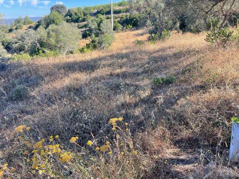 Terreno Rústico  Venda em Loulé (São Sebastião),Loulé