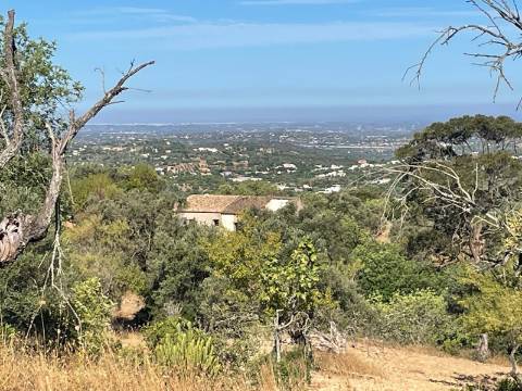 Terreno Rústico  Venda em Loulé (São Sebastião),Loulé