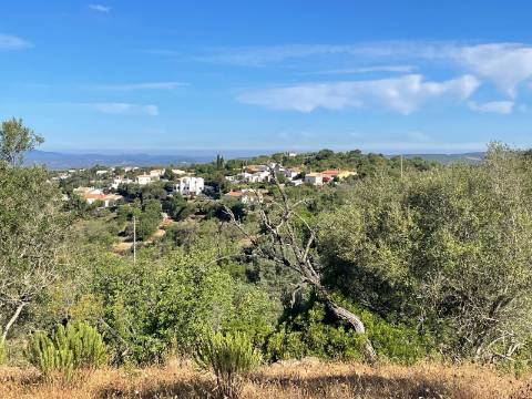 Terreno Rústico  Venda em Loulé (São Sebastião),Loulé