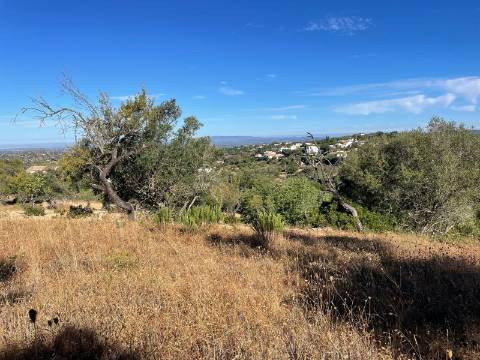 Terreno Rústico  Venda em Loulé (São Sebastião),Loulé