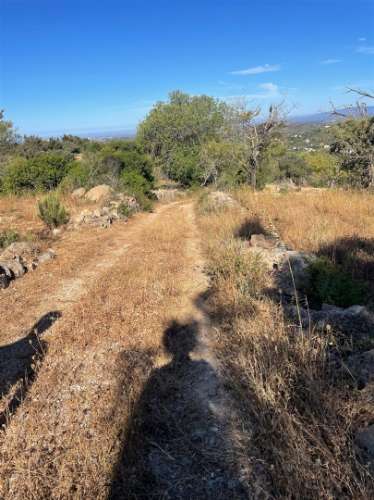 Terreno Rústico  Venda em Loulé (São Sebastião),Loulé