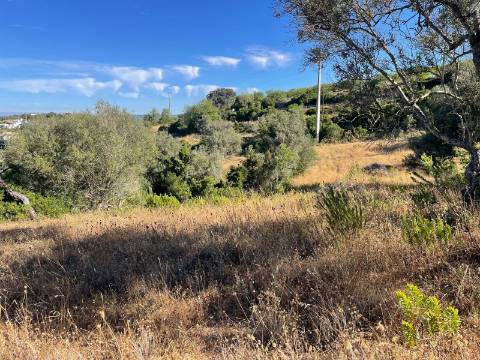 Terreno Rústico  Venda em Loulé (São Sebastião),Loulé