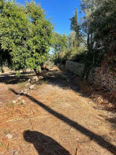 Terreno Rústico  Venda em Loulé (São Sebastião),Loulé