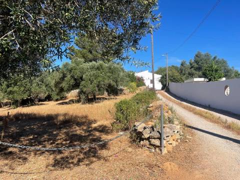Terreno Rústico  Venda em Boliqueime,Loulé