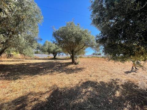 Terreno Rústico  Venda em Boliqueime,Loulé