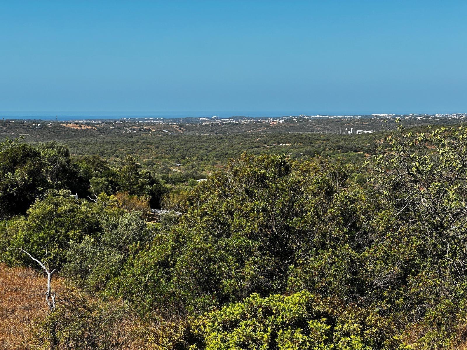 Moradia Devoluta  Venda em Loulé (São Sebastião),Loulé