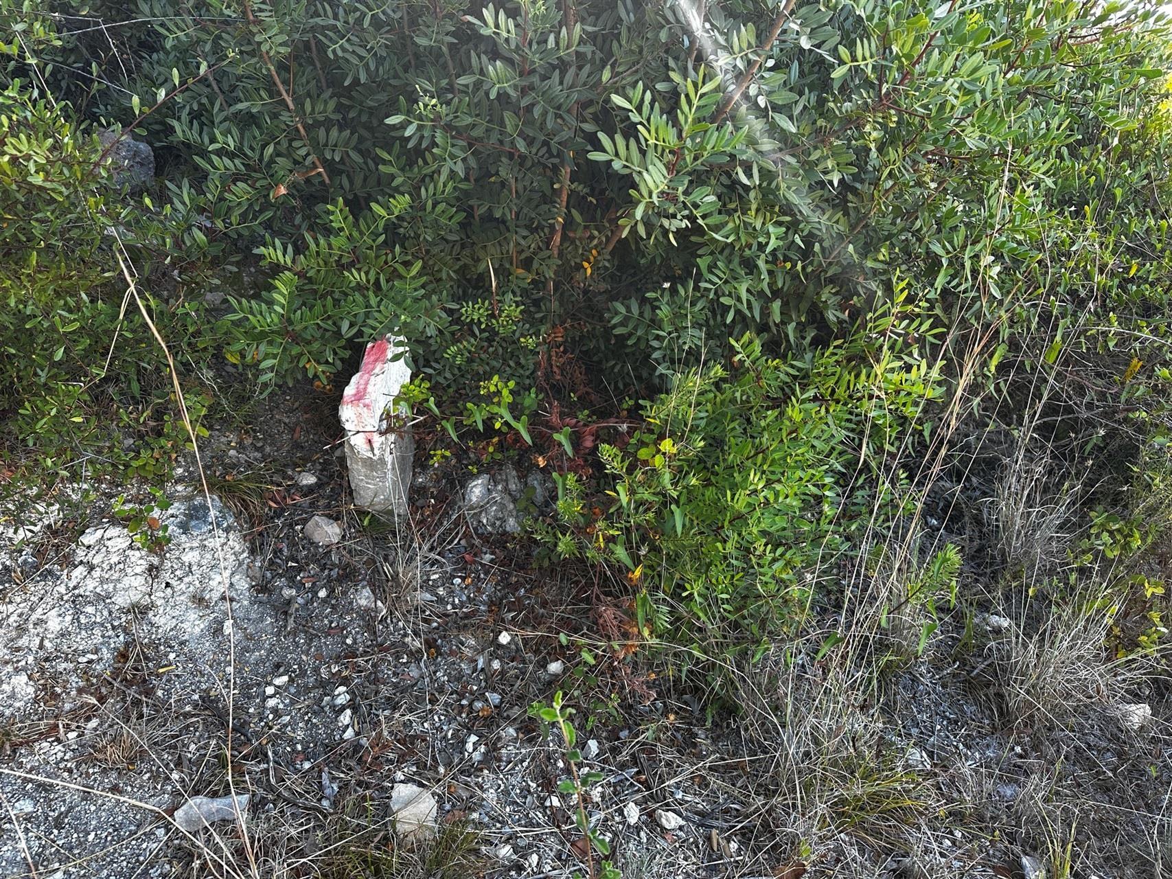 Terreno Rústico  Venda em Santa Bárbara de Nexe,Faro