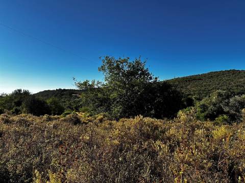 Terreno Rústico  Venda em Santa Bárbara de Nexe,Faro