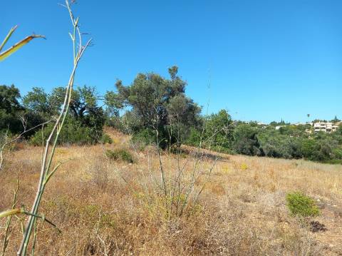 Herdade  Venda em Almancil,Loulé