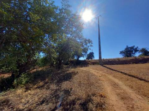 Herdade  Venda em Almancil,Loulé