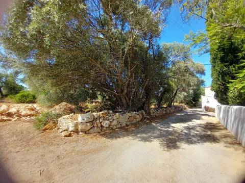 Herdade  Venda em Almancil,Loulé