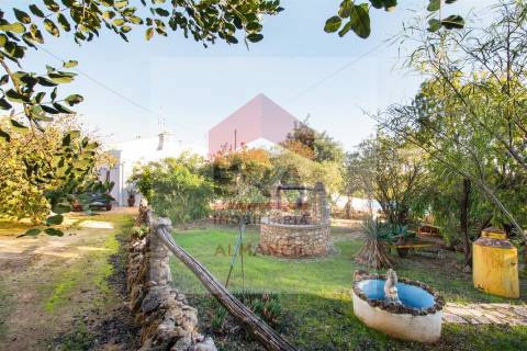 Quinta >=T10 Venda em Almancil,Loulé
