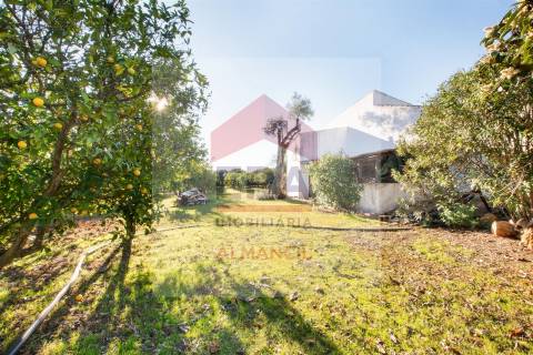 Quinta >=T10 Venda em Almancil,Loulé