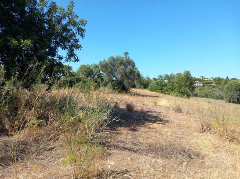 Terreno Urbano  Venda em Almancil,Loulé