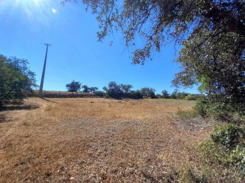 Terreno Urbano  Venda em Almancil,Loulé