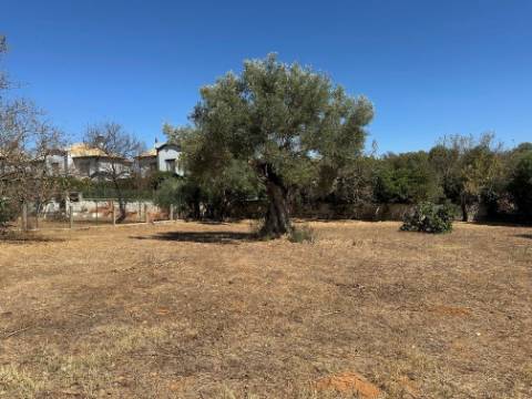 Moradia Isolada T3 Venda em Almancil,Loulé