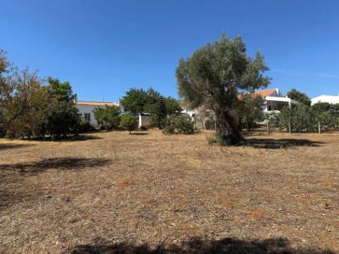 Moradia Isolada T3 Venda em Almancil,Loulé