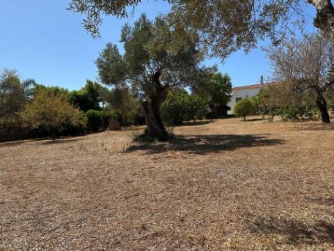 Moradia Isolada T3 Venda em Almancil,Loulé