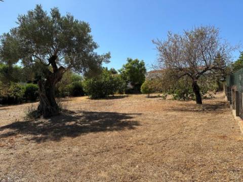 Moradia Isolada T3 Venda em Almancil,Loulé