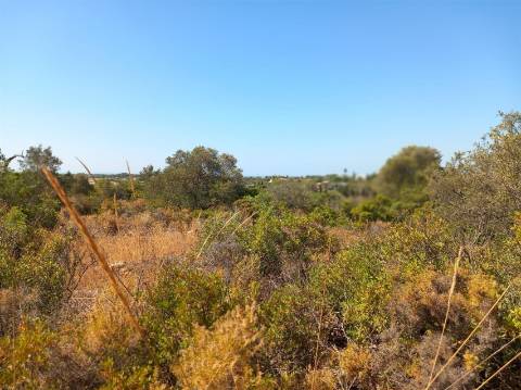 Terreno Rústico  Venda em Almancil,Loulé