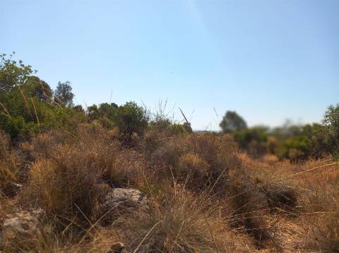 Terreno Rústico  Venda em Almancil,Loulé