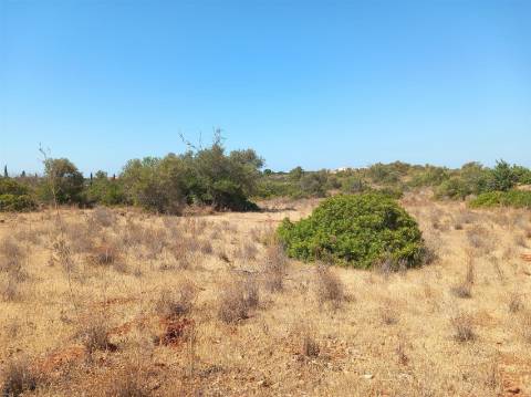 Terreno Rústico  Venda em Almancil,Loulé
