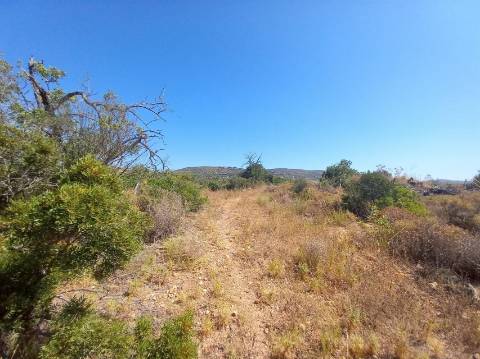Terreno Rústico  Venda em Almancil,Loulé