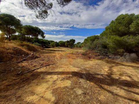 Terreno Rústico  Venda em Almancil,Loulé