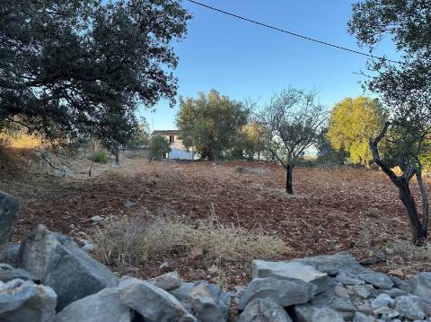 Moradia Isolada T4 Venda em Santa Bárbara de Nexe,Faro