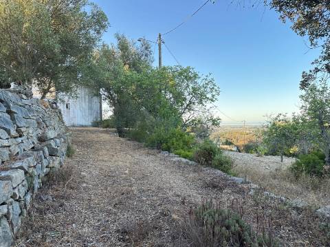 Moradia Isolada T4 Venda em Santa Bárbara de Nexe,Faro