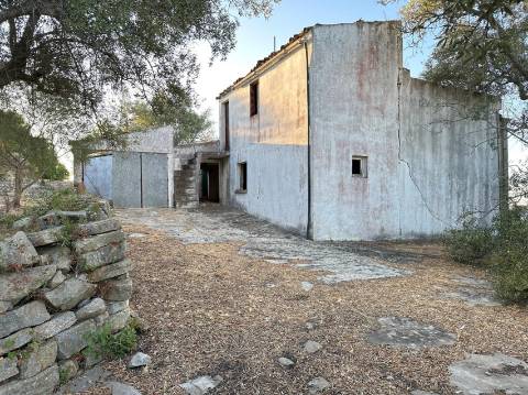 Moradia Isolada T4 Venda em Santa Bárbara de Nexe,Faro