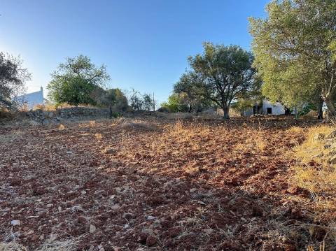 Moradia Isolada T4 Venda em Santa Bárbara de Nexe,Faro